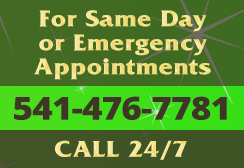 Same day or emergency dental appointments